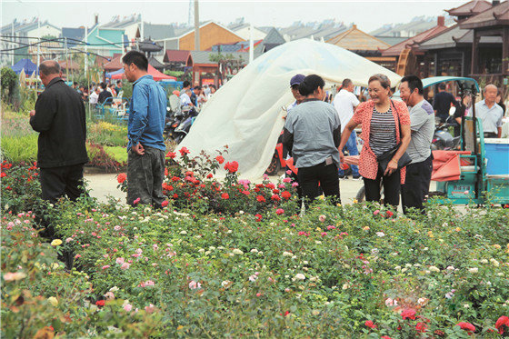 昆明籌建國際花卉產業創新研究院