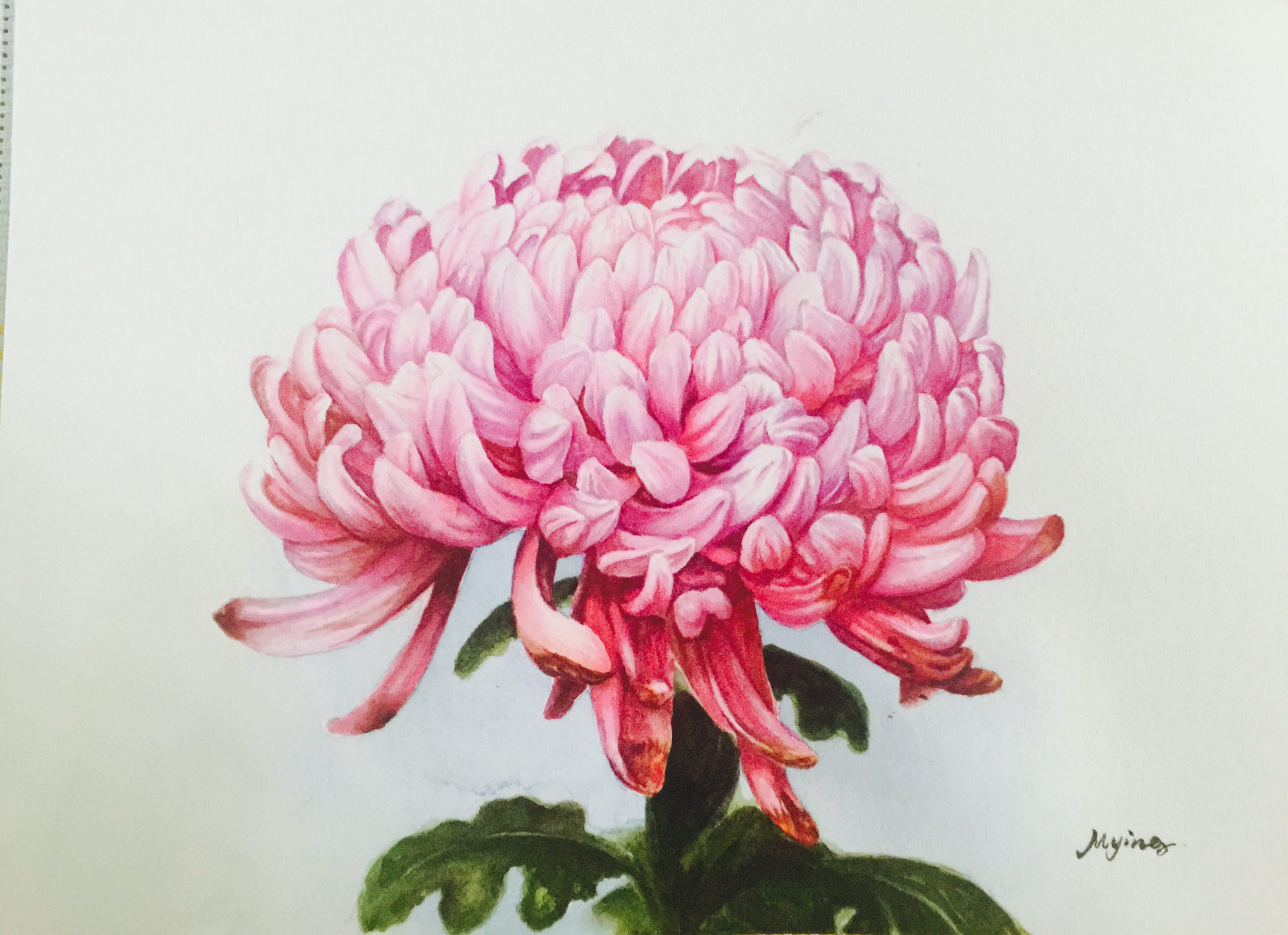 花易寶首個集貨站落地宜良縣南羊鎮