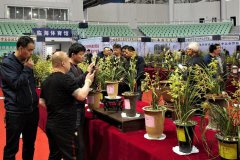 弘揚古城文化 結交八方蘭友 花卉世界杯在臨海隆