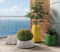 西安嘉禾苗圃告訴您：綠植租賃有什么價(jià)值呢？