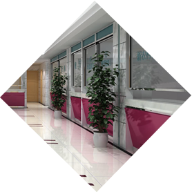 醫(yī)院綠植租擺