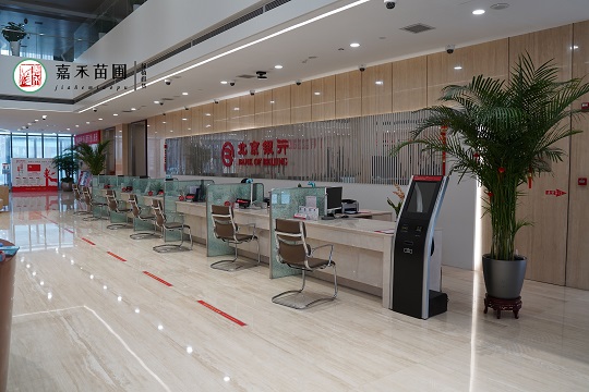 銀行花卉綠植租賃電話|西安嘉禾苗圃15202909185