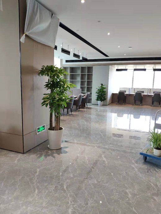 西安銀行綠植租賃|西安嘉禾苗圃