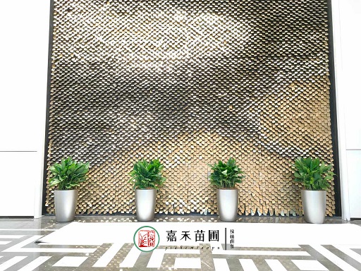 綠意盎然：銀行業與花卉租擺服務的合作，助力可持續發展