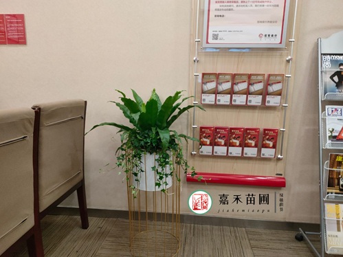 西安銀行綠植租賃都會怎么選擇供應商呢？