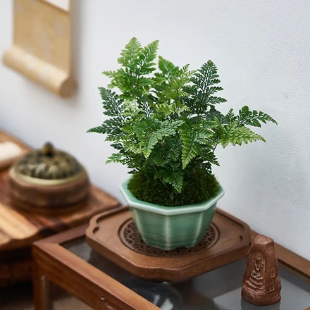 20250806/6892ff728a281.jpg 640 (2).jpg