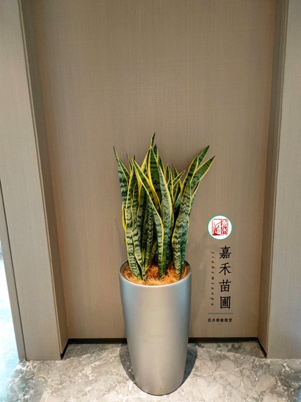 20250918/68cb6ae0202a4.jpg 微信圖片_20231008113729.jpg