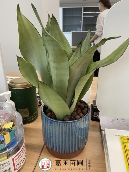 20250918/68cb6af1147b8.jpg 20221020101412.jpg